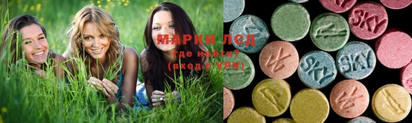 гашик Покровск